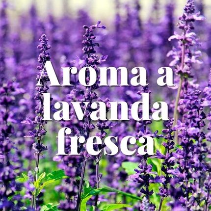 Orion Total Protection Bags Lavender 20 Units - Image 3