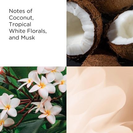 Elizabeth Arden Green Tea Coconut Breeze Eau De Toilette Spray 100Ml - Image 3