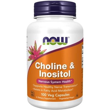 Now Foods Choline & Inositol 500Mg