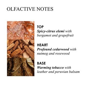 Molton Brown Tobacco Absolute Eau De Toilette 100Ml