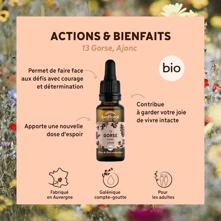 Fleurs De Bach Bio N13 Gorse 20Ml