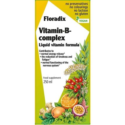 Floradix Vitamin B Complex Liquid Formula 250Ml