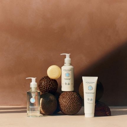 L'Occitane Shea Butter Cleansing Cream 125Ml Enriched With Shea Butter Vegan & 100% Readily Biodegradable Luxury & Clean Beauty Skin Cleanser For All Skin Types - Image 3