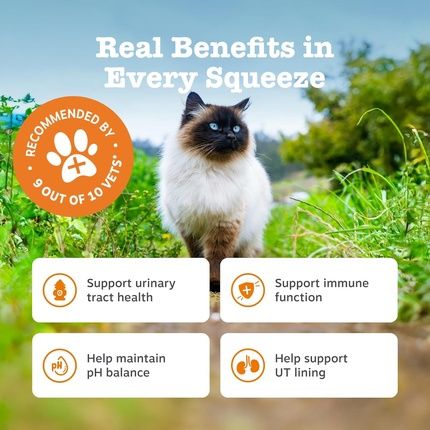 Zesty Paws Cat Urinary & Renal Paste For Urinary Tract Health And Urine Ph Balance - Image 3