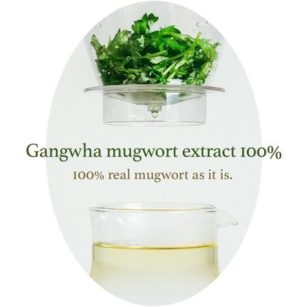 أنا من قناع Mugwort 1.01 أونصة سائلة - تبريد وتهدئة سريعة