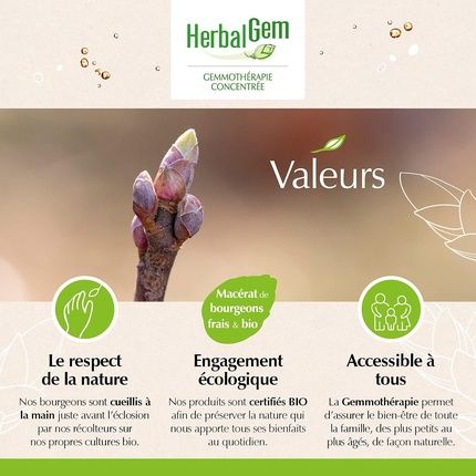 Herbalgem Optigem Gemotherapy Complex Concentrate Eye Comfort 30Ml - Image 3