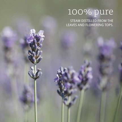 Now Foods Lavender & Tea Tree Oil 1Oz - Image 3