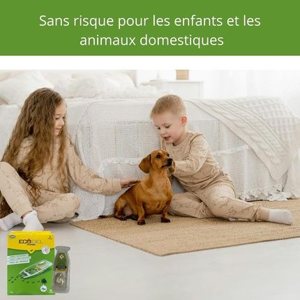 Ecogel Ant Trap Insecticide Maximum Attraction Eliminates Whole Colony Effective Indoor And Outdoor 3 Traps - Image 3