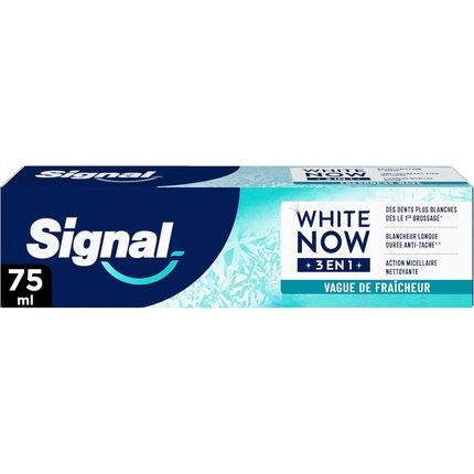Signal White Now 3 In 1 Toothpaste Longlasting Whitening Antistain 96G