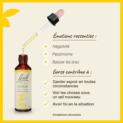 Bach Flowers Original Gorse No. 13 For More Hope - Image 3