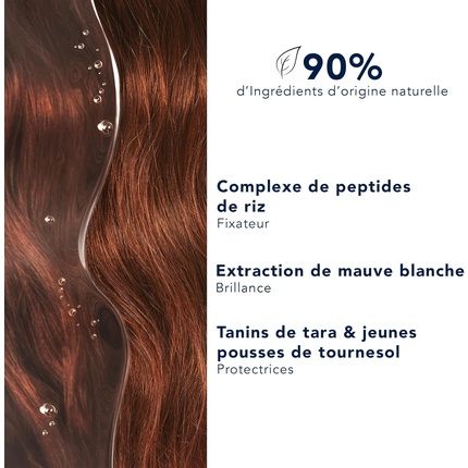 Phyto Color Mask Box 200Ml For Colored And Highlighted Hair - Image 3