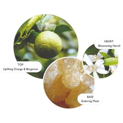 Molton Brown Orange And Bergamot Hand Lotion 300Ml