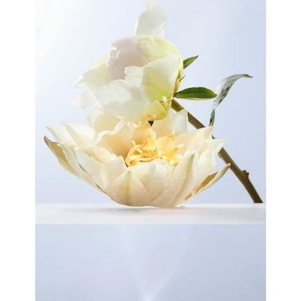 Bvlgari Omnia Crystalline Edt Women'S Perfume 50Ml - Image 3