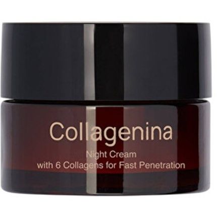 Collagenina Night Cream With 6 Collagens