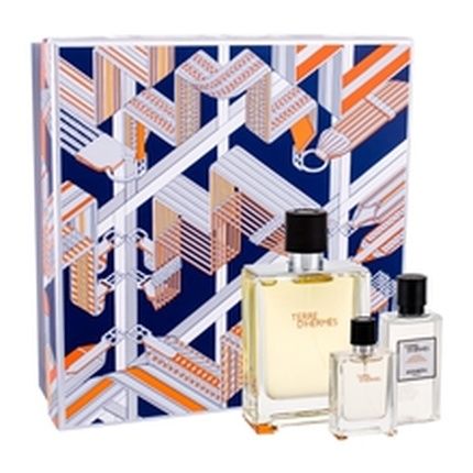 Herms Terre D'Hermes Eau De Toilette Spray Gift Set 100Ml Edt 40Ml After Shave 125Ml Miniature