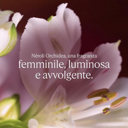 L'Occitane Neroli And Orchid Scented Hand Cream 75Ml