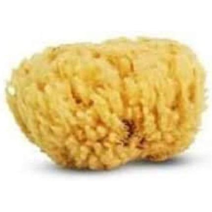 Cartel 5641 Natural Sea Sponge
