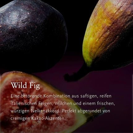 Rituals Car Air Freshener Wild Fig Luxury Perfume - Image 3