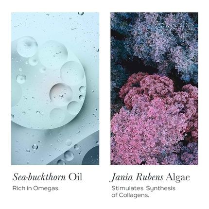 Sothys Renovative Night Cream Collagen Infused Anti Aging Face Moisturizer 1.7 Oz - Image 3