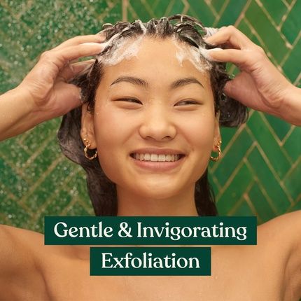 The Body Shop Ginger Hair And Scalp Scrub Exfoliant 240Ml 8.80 Ounce