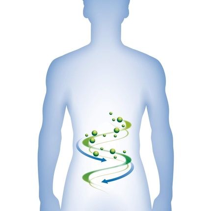 Floradix Dandelion Leaf Organic Herbal Tea 15 Bags - Image 3