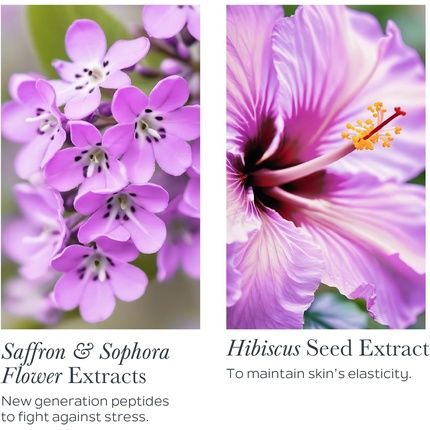 Sothys Firming Youth Cream 50Ml 1.69Oz - Image 3