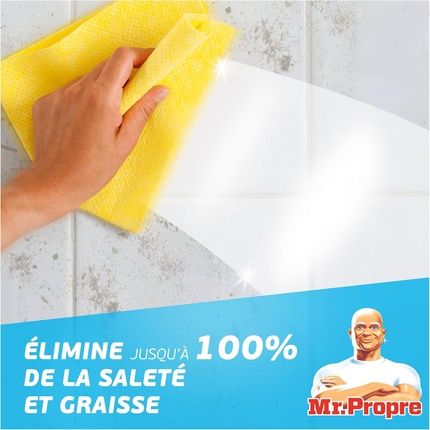 Mr Propre Multipurpose Cleaning Spray With Bicarbonate & Eucalyptus