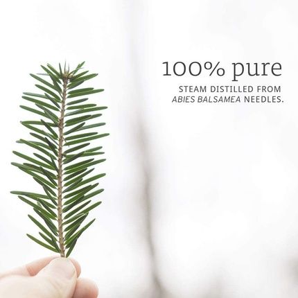 Now Foods Balsam Fir Needle Essential Oil 1 Fl Oz 30Ml - Image 3