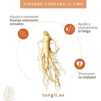 Ginst15 Tea Il Hwa Korean Ginseng Extract Soluble Granulated Tea 30 Sachets - Image 3