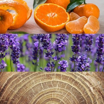 Calvin Klein Obsession For Men Eau De Toilette Botanics Spices Rare Woods Toilette Spray 6.7 Fl Oz - Image 3