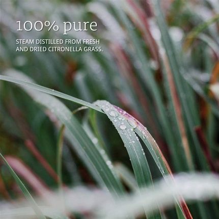 Now Foods Citronella Oil 1Oz - Image 3