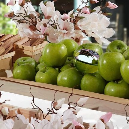 Dkny Be Delicious Eau De Parfum Spray For Women 100Ml