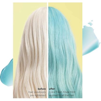 Wella Professionals Color Fresh Mask Temporary Colour Refresh Treatment