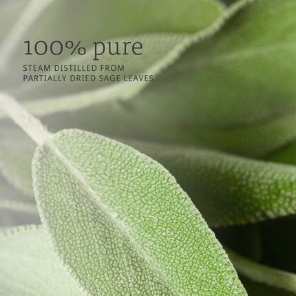 Now Foods Sage Oil 1 Ounce - Image 3