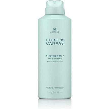 My Hair My Canvas Another Day Dry Shampoo 142G