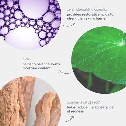 Stabilizing Repair Cream - Image 3