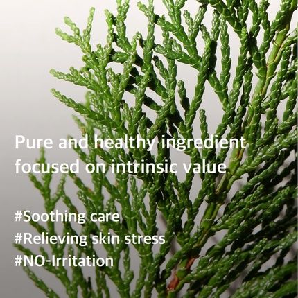 Mixsoon Hinoki Essence - Image 3