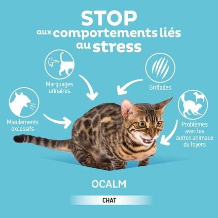 Clement Thekan O Calm Cat Calming Solution Refill 48Ml - Image 3
