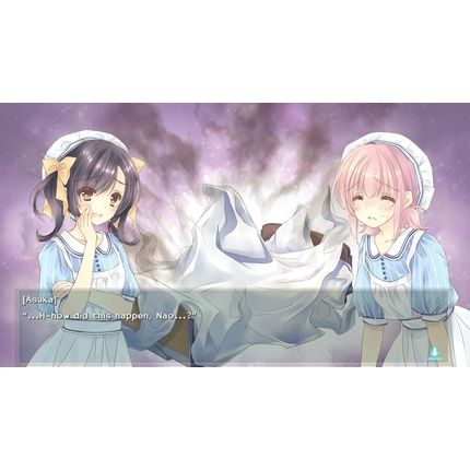 Nurse Love Obsession Switch