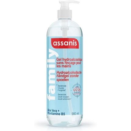 Assanis Family Antibacterial Gel Non-Rinse 980Ml