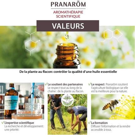 Pranarom Bio Mastic Tree Essential Oil 5Ml