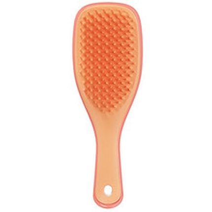 Tangle Teezer The Mini Ultimate Detangler Hairbrush Gentle On Wet Hair Two-Tiered Teeth Comfortable Handle Ideal For Kids And Travel Reduces Knots Breakage Salmon Pink Apricot