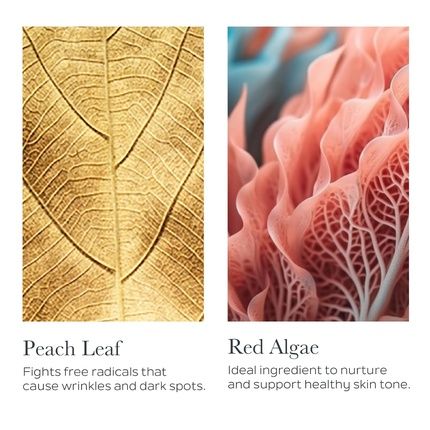 Sothys La Creme Premium Youth Cream Anti-Aging Moisturizer Face Treatment For Fine Lines And Wrinkles 1.7 Oz - Image 3