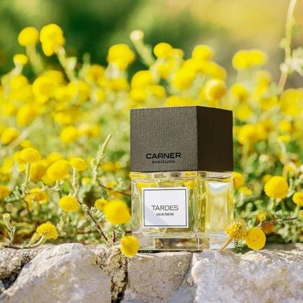 Carner Tardes Eau De Parfum 100Ml - Image 3