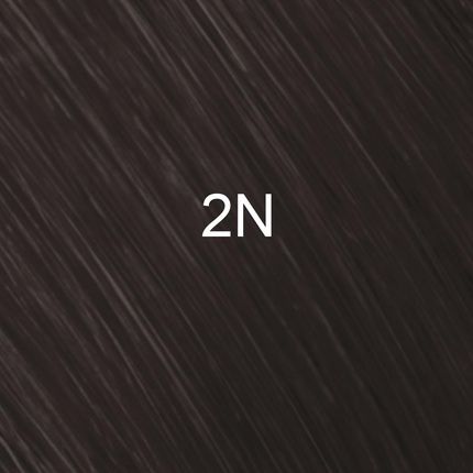 2N Topchic Zero Black Can 250Ml Permanent Ammonia-Free Hair Color
