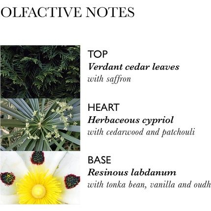 Molton Brown Labdanum Dusk Hair Mist 100Ml