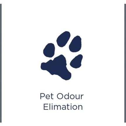 Bissell 1085N Spot & Stain Pet, Pet Odor And Cleaner - Image 3