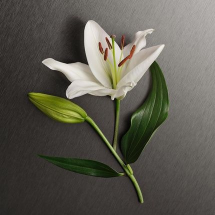 Calvin Klein Ck Eternity Women Shower Gel 150Ml