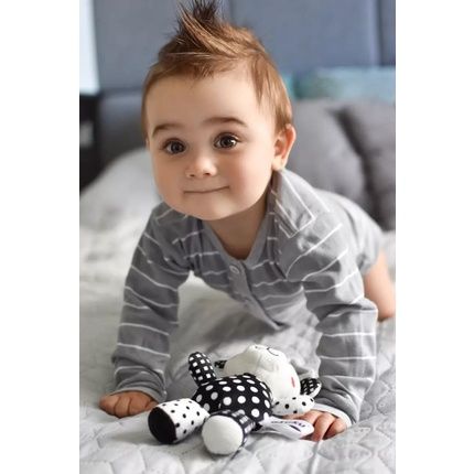 أكوكو تيدي بير قلادة أبيض وأسود