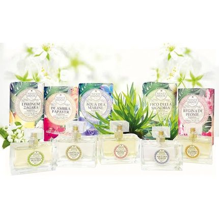 Nesti Dante Aqua Dea Marine No.7 Soap 250G - Image 3